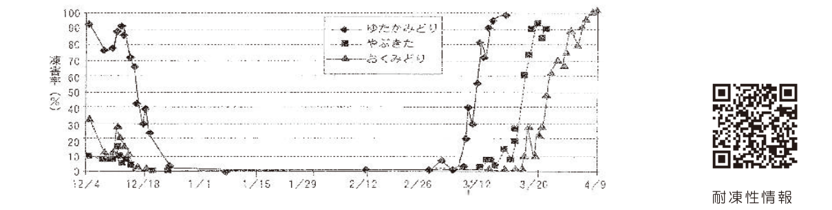 図４　冬芽の－８℃における被害発生率（平成６～７年）